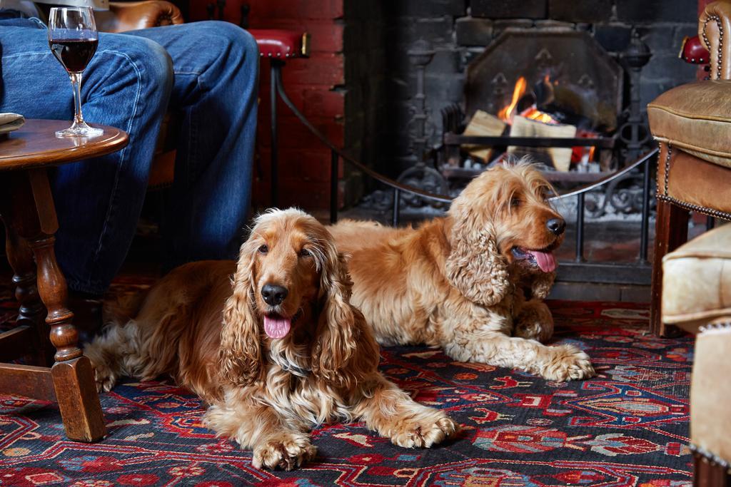 Spread Eagle Hotel And Spa Midhurst Dış mekan fotoğraf