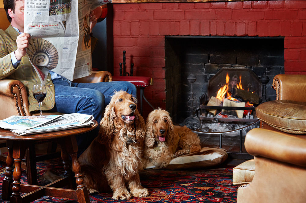 Spread Eagle Hotel And Spa Midhurst Dış mekan fotoğraf